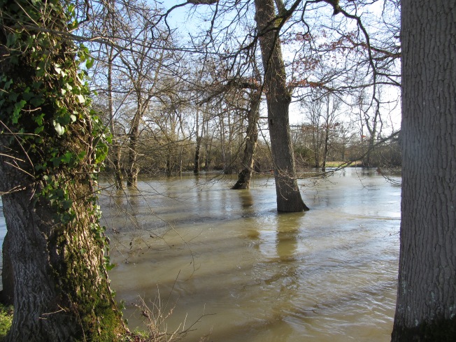 A flooded Le Porta,l where Le Charente burst its banks